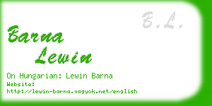 barna lewin business card